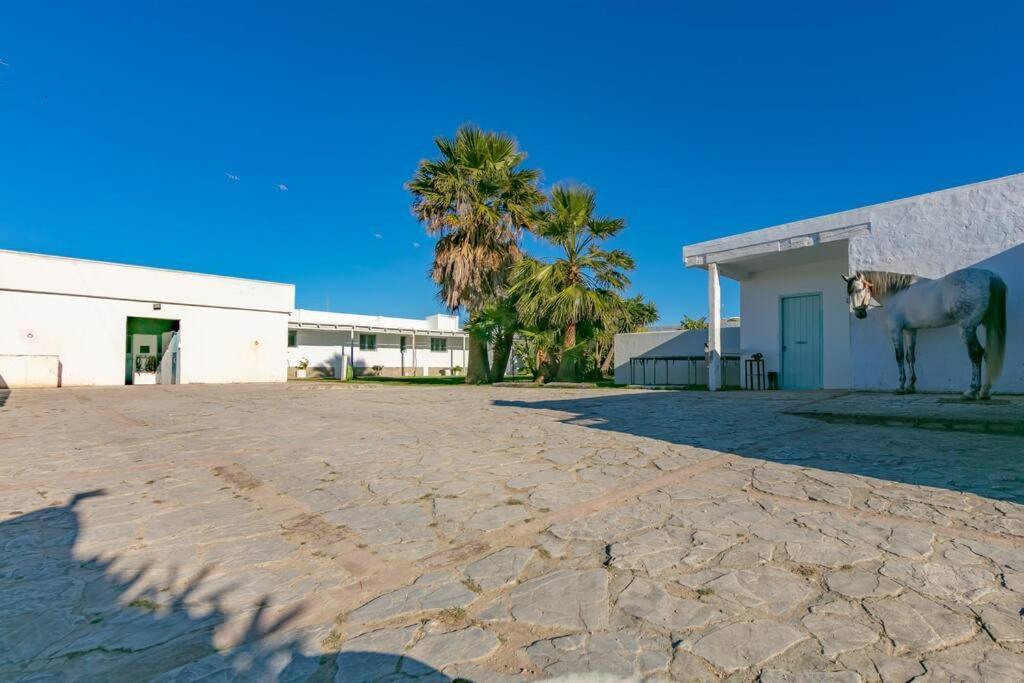 Habitaciones Rurales La Vega Тарифа Экстерьер фото