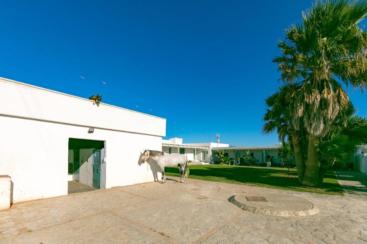 Habitaciones Rurales La Vega Тарифа Экстерьер фото